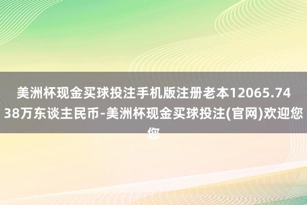 美洲杯现金买球投注手机版注册老本12065.7438万东谈主民币-美洲杯现金买球投注(官网)欢迎您