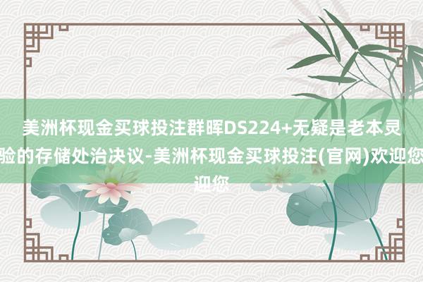 美洲杯现金买球投注群晖DS224+无疑是老本灵验的存储处治决议-美洲杯现金买球投注(官网)欢迎您