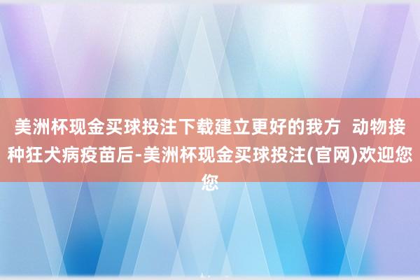 美洲杯现金买球投注下载建立更好的我方  动物接种狂犬病疫苗后-美洲杯现金买球投注(官网)欢迎您