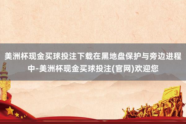 美洲杯现金买球投注下载　　在黑地盘保护与旁边进程中-美洲杯现金买球投注(官网)欢迎您