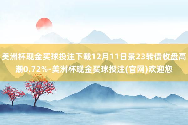 美洲杯现金买球投注下载12月11日景23转债收盘高潮0.72%-美洲杯现金买球投注(官网)欢迎您