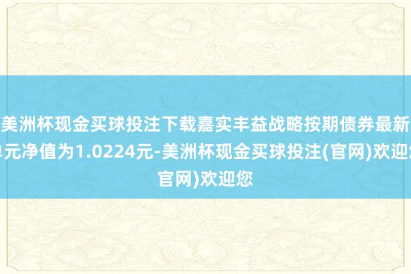 美洲杯现金买球投注下载嘉实丰益战略按期债券最新单元净值为1.0224元-美洲杯现金买球投注(官网)欢迎您