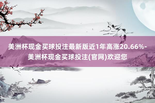 美洲杯现金买球投注最新版近1年高涨20.66%-美洲杯现金买球投注(官网)欢迎您
