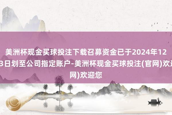 美洲杯现金买球投注下载召募资金已于2024年12月23日划至公司指定账户-美洲杯现金买球投注(官网)欢迎您