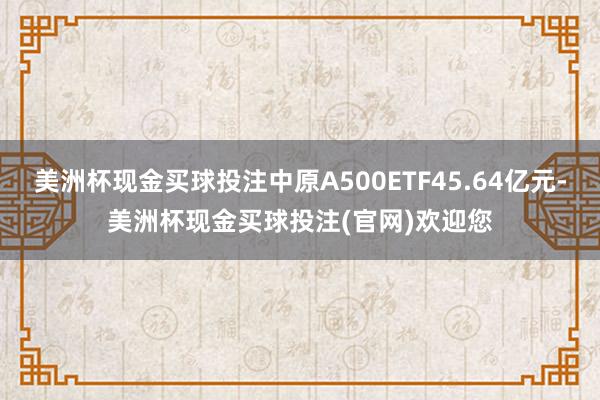 美洲杯现金买球投注中原A500ETF45.64亿元-美洲杯现金买球投注(官网)欢迎您