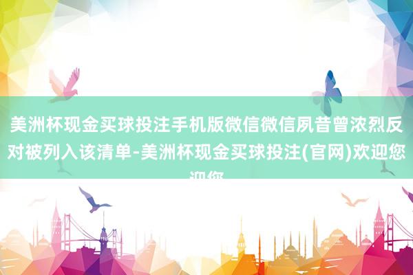 美洲杯现金买球投注手机版微信微信夙昔曾浓烈反对被列入该清单-美洲杯现金买球投注(官网)欢迎您
