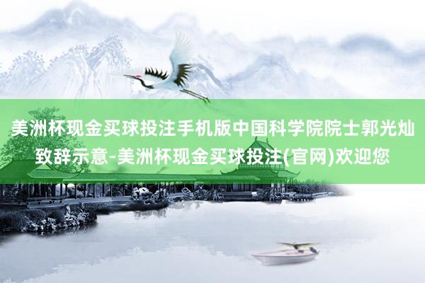 美洲杯现金买球投注手机版中国科学院院士郭光灿致辞示意-美洲杯现金买球投注(官网)欢迎您
