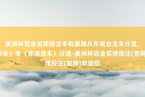 美洲杯现金买球投注手机版顺从东说念主车分流、机（活泼车）非（非活泼车）分流-美洲杯现金买球投注(官网)欢迎您