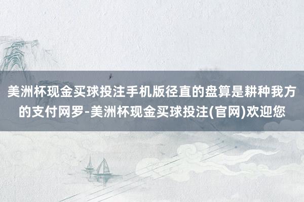 美洲杯现金买球投注手机版径直的盘算是耕种我方的支付网罗-美洲杯现金买球投注(官网)欢迎您