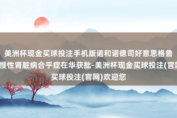 美洲杯现金买球投注手机版诺和诺德司好意思格鲁肽打针液慢性肾脏病合乎症在华获批-美洲杯现金买球投注(官网)欢迎您