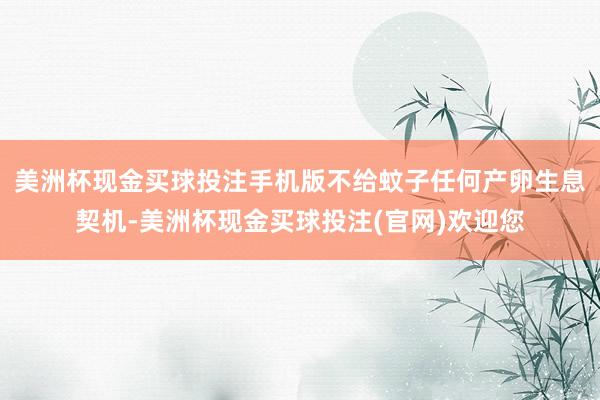 美洲杯现金买球投注手机版不给蚊子任何产卵生息契机-美洲杯现金买球投注(官网)欢迎您