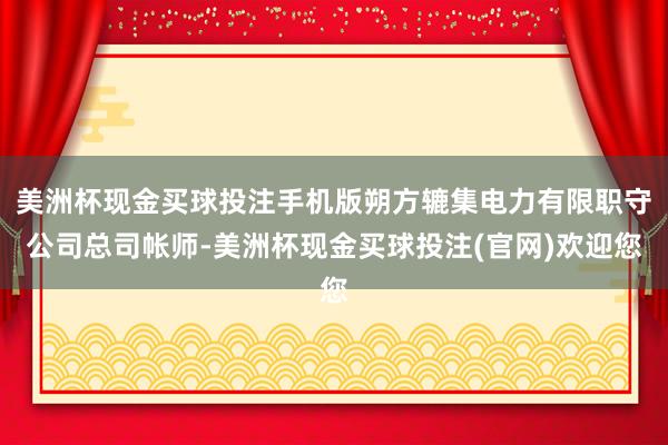 美洲杯现金买球投注手机版朔方辘集电力有限职守公司总司帐师-美洲杯现金买球投注(官网)欢迎您