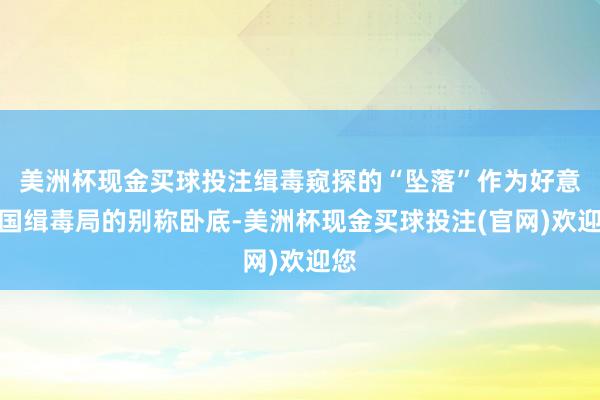 美洲杯现金买球投注缉毒窥探的“坠落”作为好意思国缉毒局的别称卧底-美洲杯现金买球投注(官网)欢迎您
