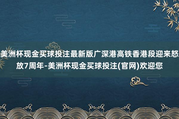 美洲杯现金买球投注最新版广深港高铁香港段迎来怒放7周年-美洲杯现金买球投注(官网)欢迎您